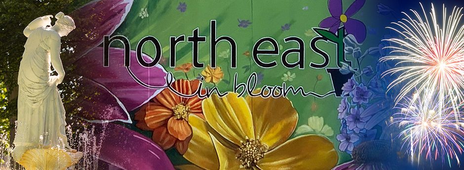 $368,000 granted to the North East community in 2022.